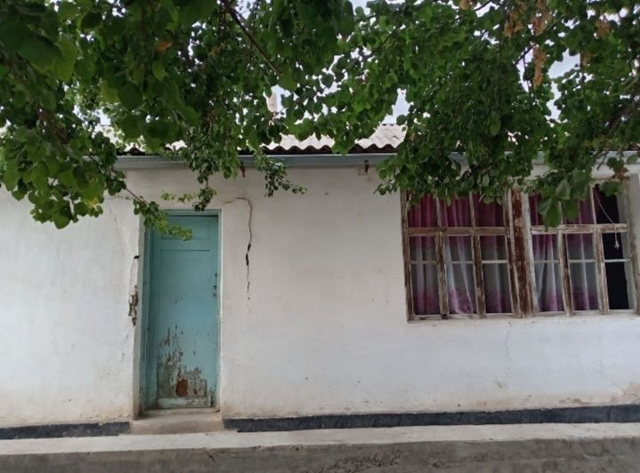 Toshkent viloyati chinoz tumanida uy sotiladi