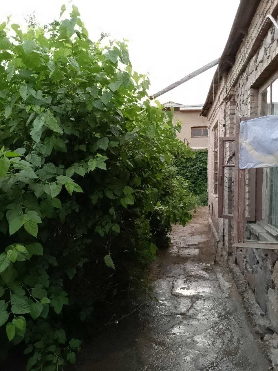 Срочно продается дом почти в центре Самарканда