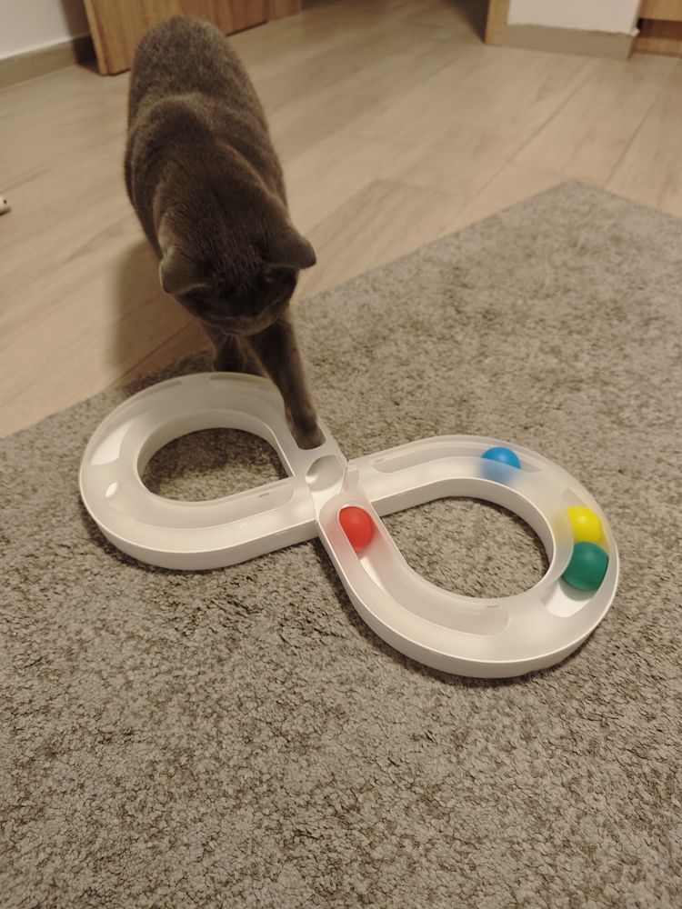 Игра с топки за котки