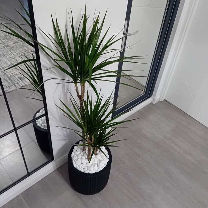 Planta decorativa cu ghiveci ceramic