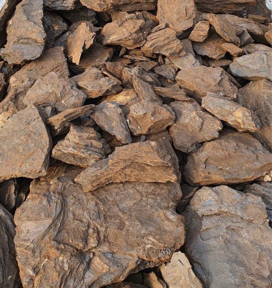 Carbune lignit pentru centrale termice