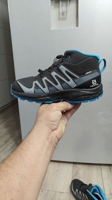 Salomon Nr   37 .