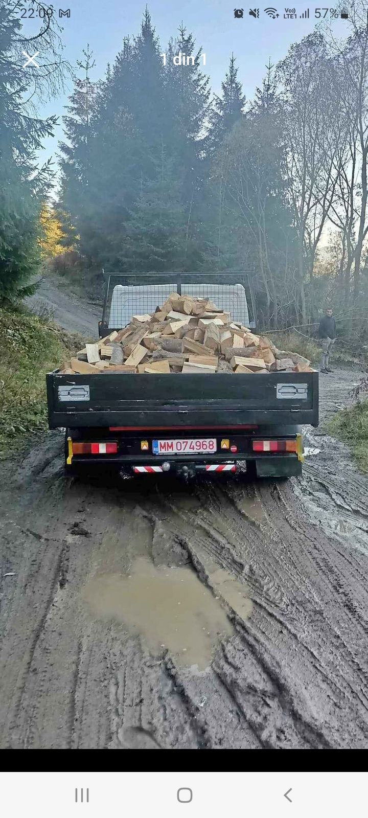 Vând Lemne de Fag