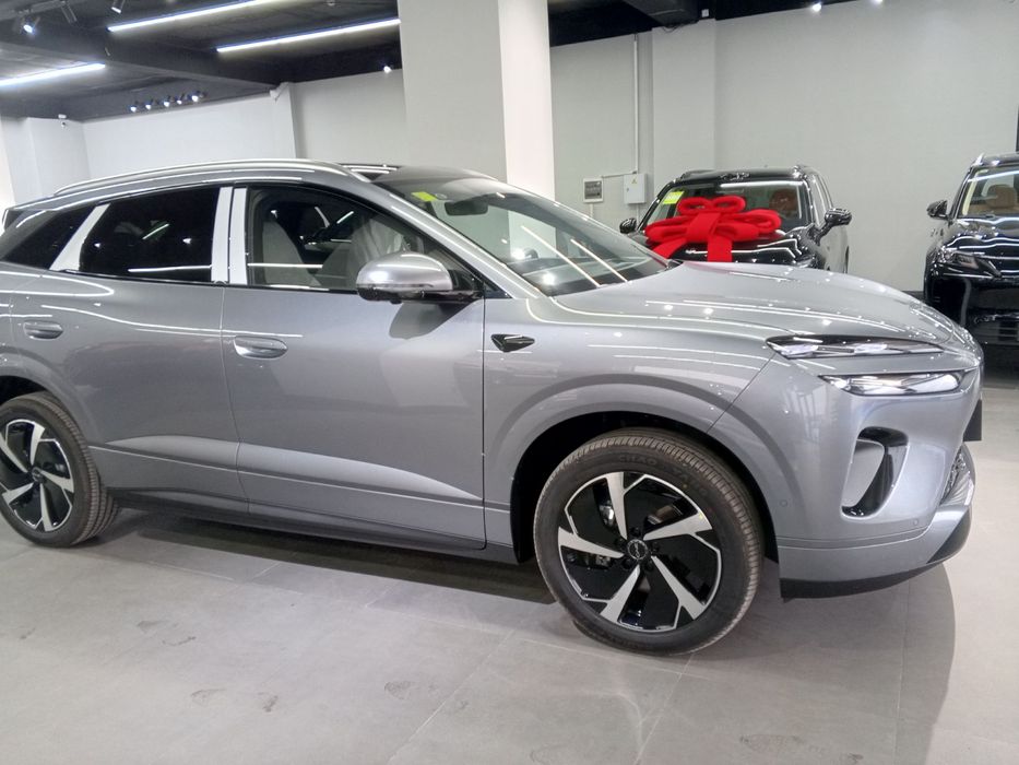 BYD Seolion 06 full pozitisia