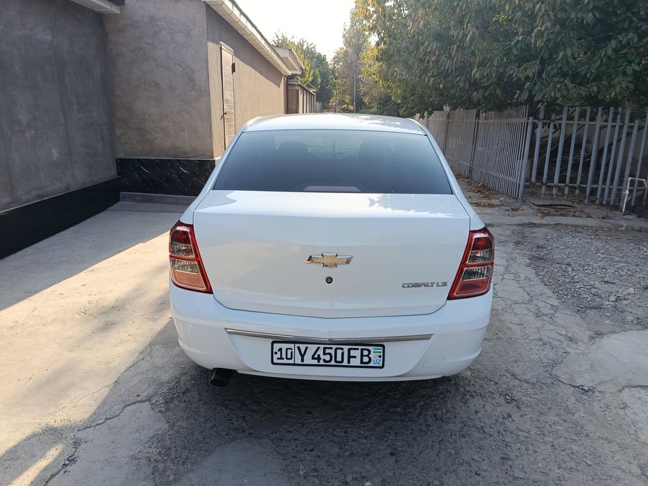 Срочно сотилади кобилт