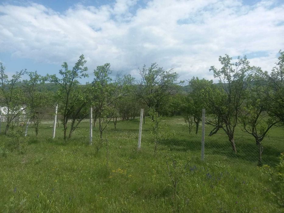 Teren intravilan 1700 mp - Drajna de Jos, Poiana Mierlei – 15€/mp, neg