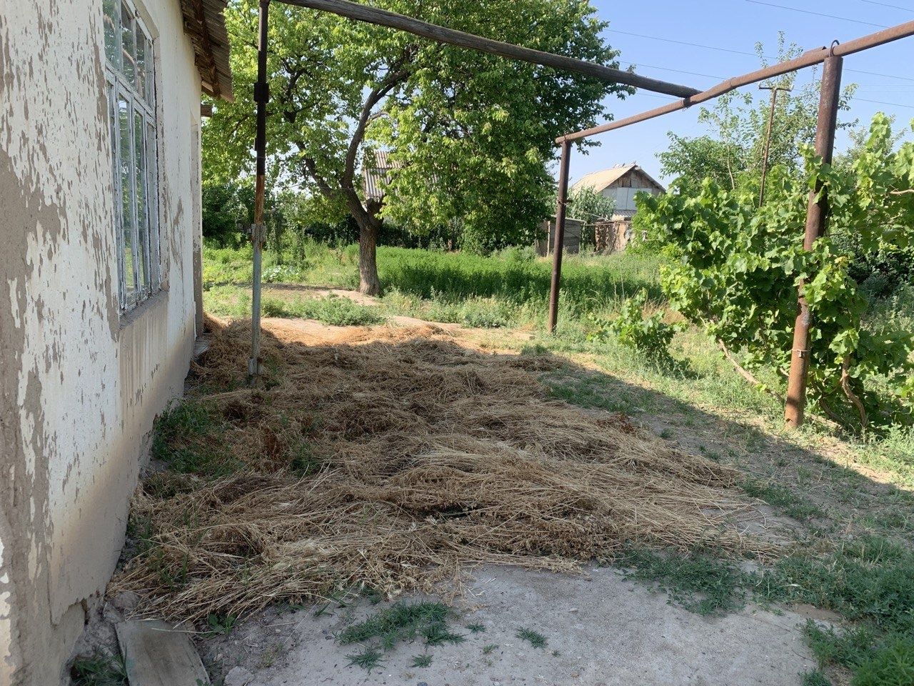 Dacha vosxodda dacha sotiladi