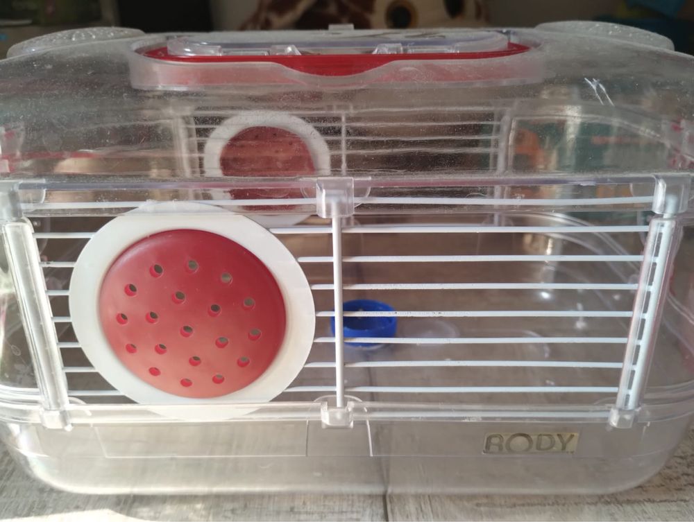 Cusca soricel sau hamster