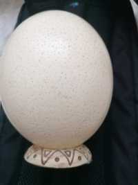 Ou  de struț cu suport