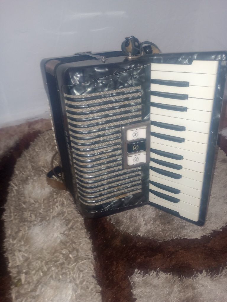 Acordeon hohner studenții