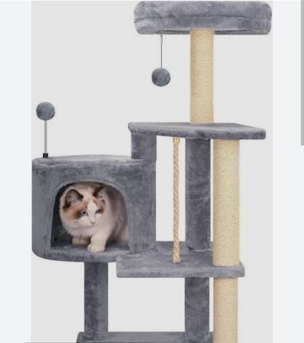 Mushuk uychasi xarxil turdagi kota va kichik uychalar