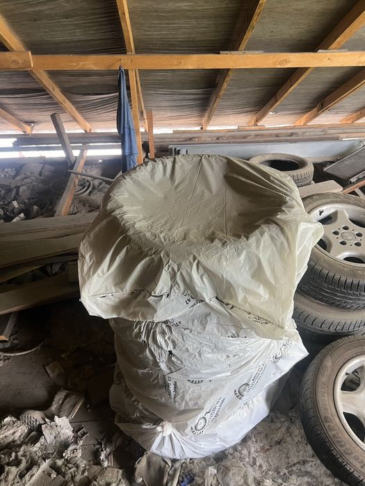 Ризина зимняя.