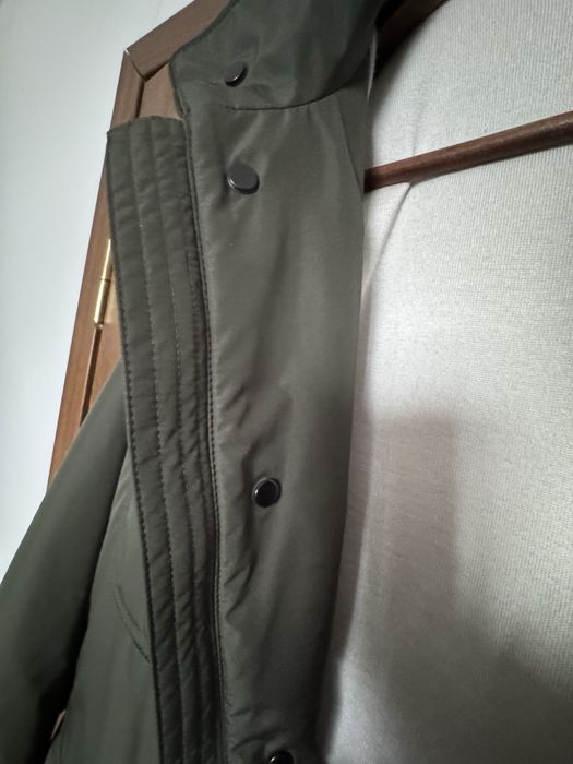 Jacheta  casmir “Falconeri”