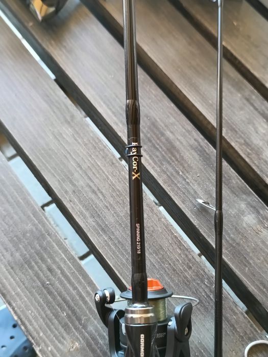 Combo spinning știucă salau