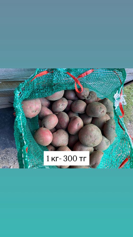 Домашняя картошка