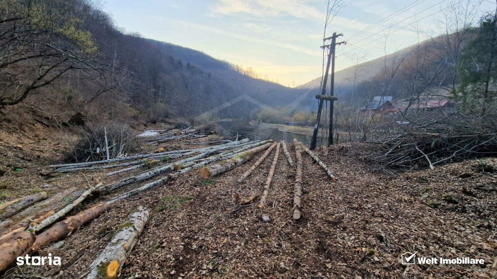 Teren Intravilan de Vanzare – 3279 MP – Coada Lacului Tarnita