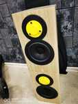 Boxe de raft Dynaudio Evoke 10, noi la cutie.