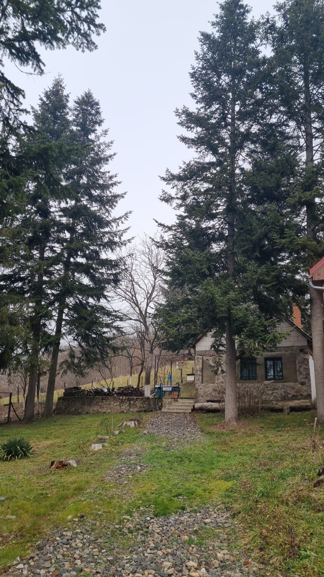 Casa de vanzare in Cladova
