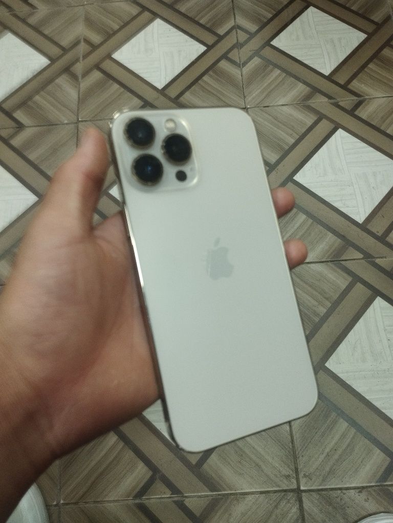 Iphone 13 pro Max