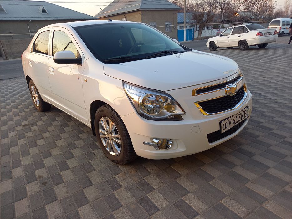 Коблыт сотыладии