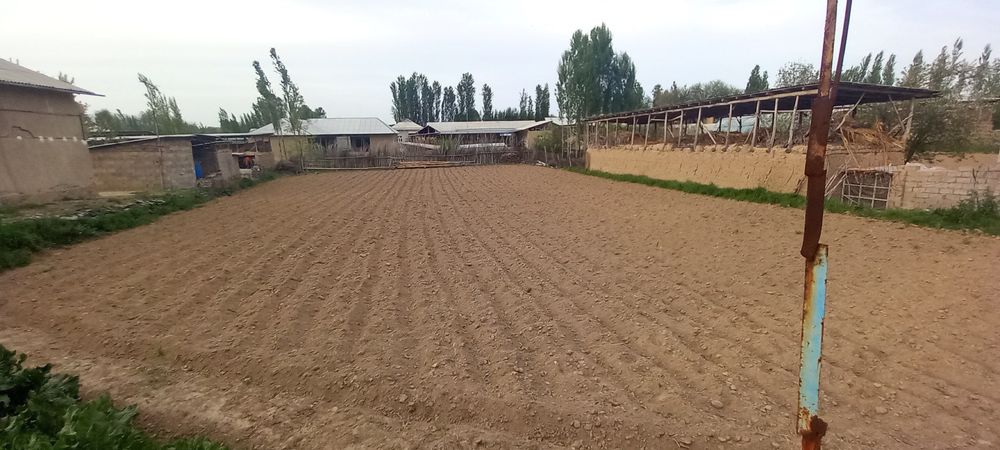 Uchastka sotiladi quruq yer