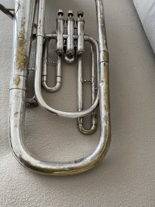 Basfligorn Lignatone