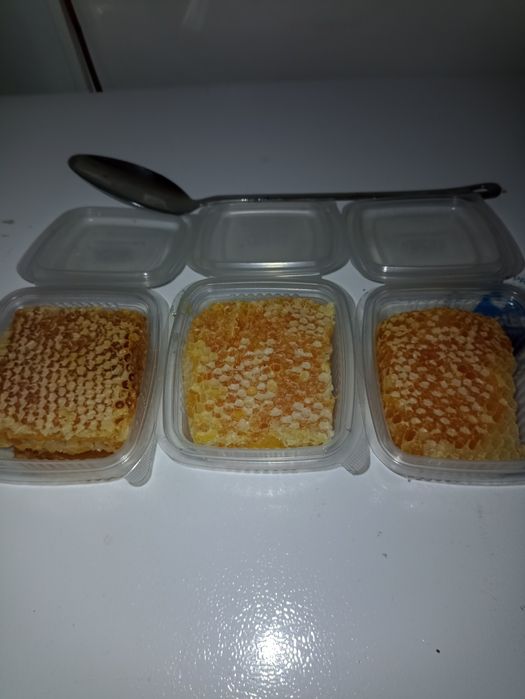 Fagure cu miere de armurariu