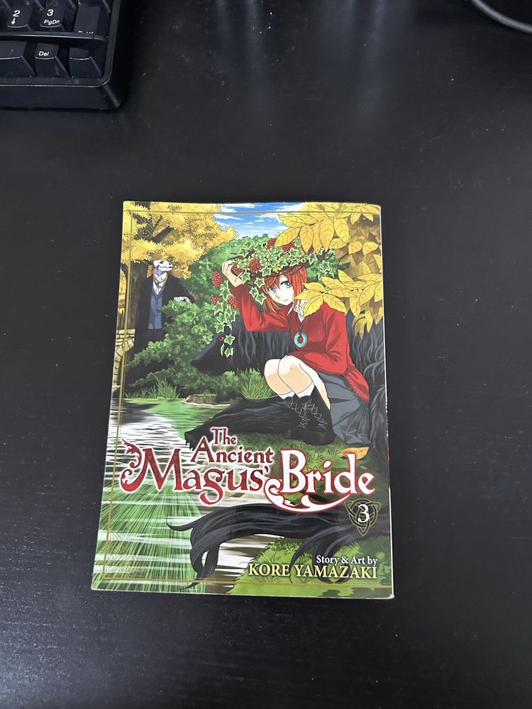 The ancient magus bride