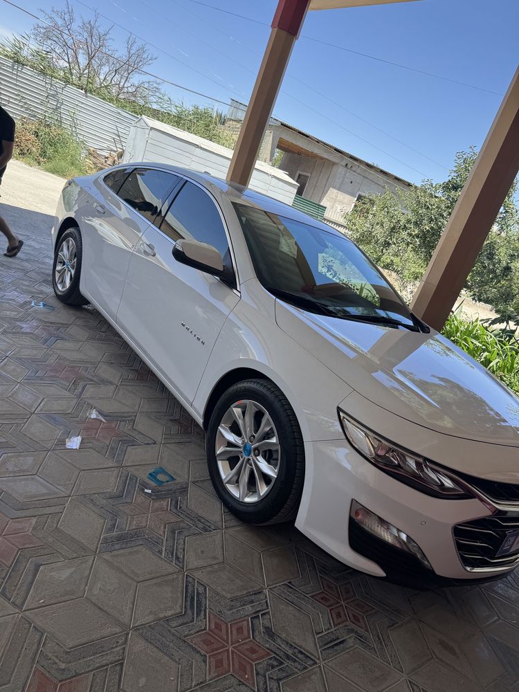 Malibu malibu 2022 premer