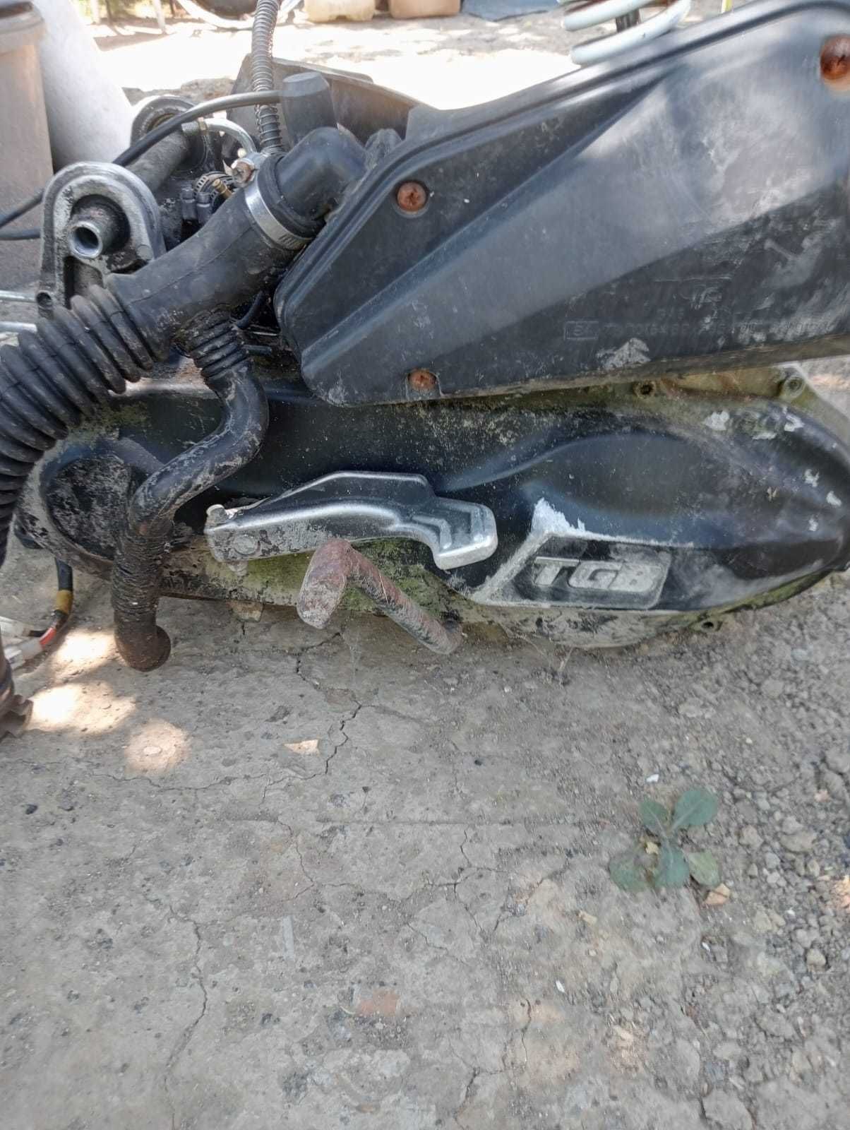 Scooter TGB Corona