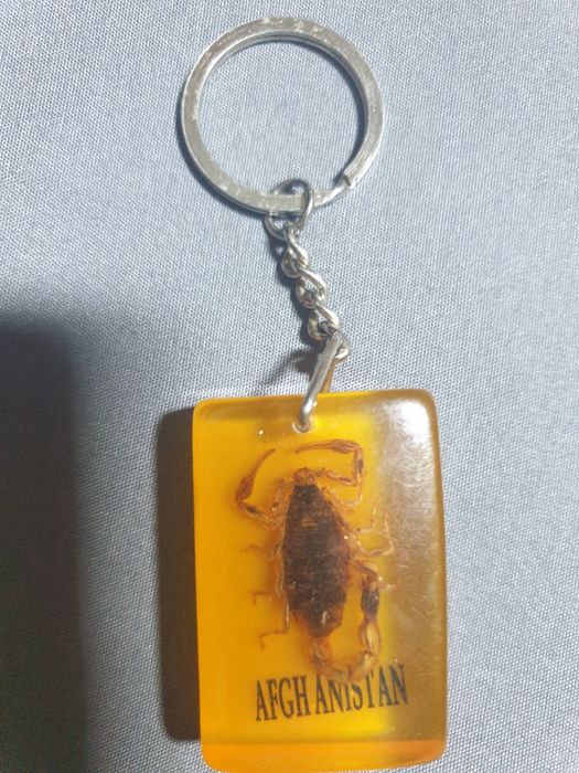 Vînd breloc scorpion natural