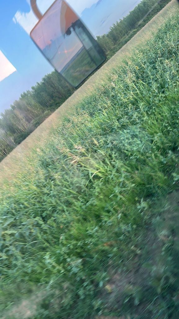 Vând baloti lupoaie floare soarelui