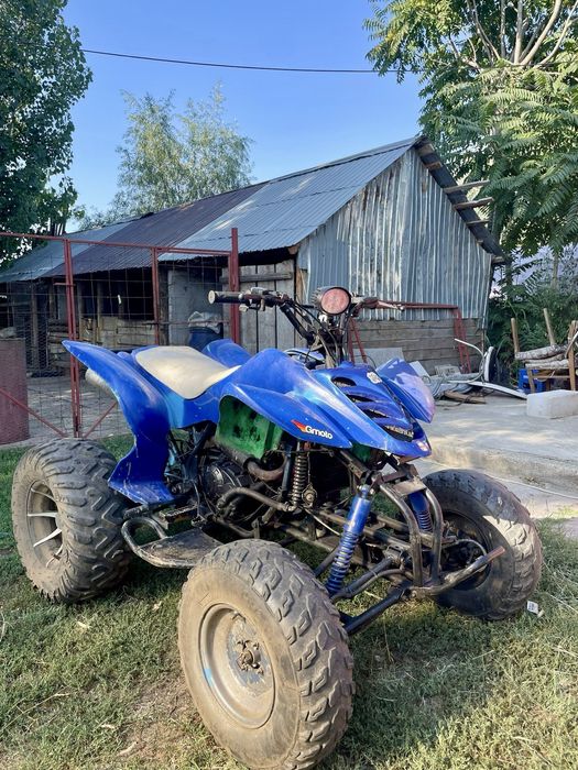 Atv Bashan motor 200