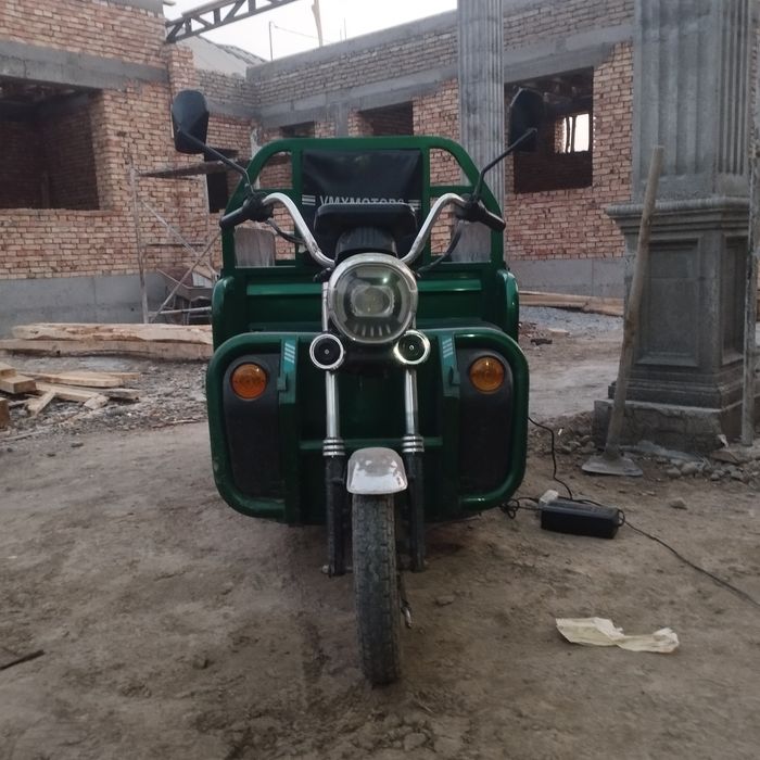 Электроний муравей