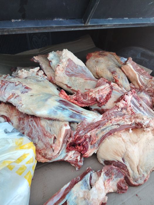 Мясо с Ерментауского района