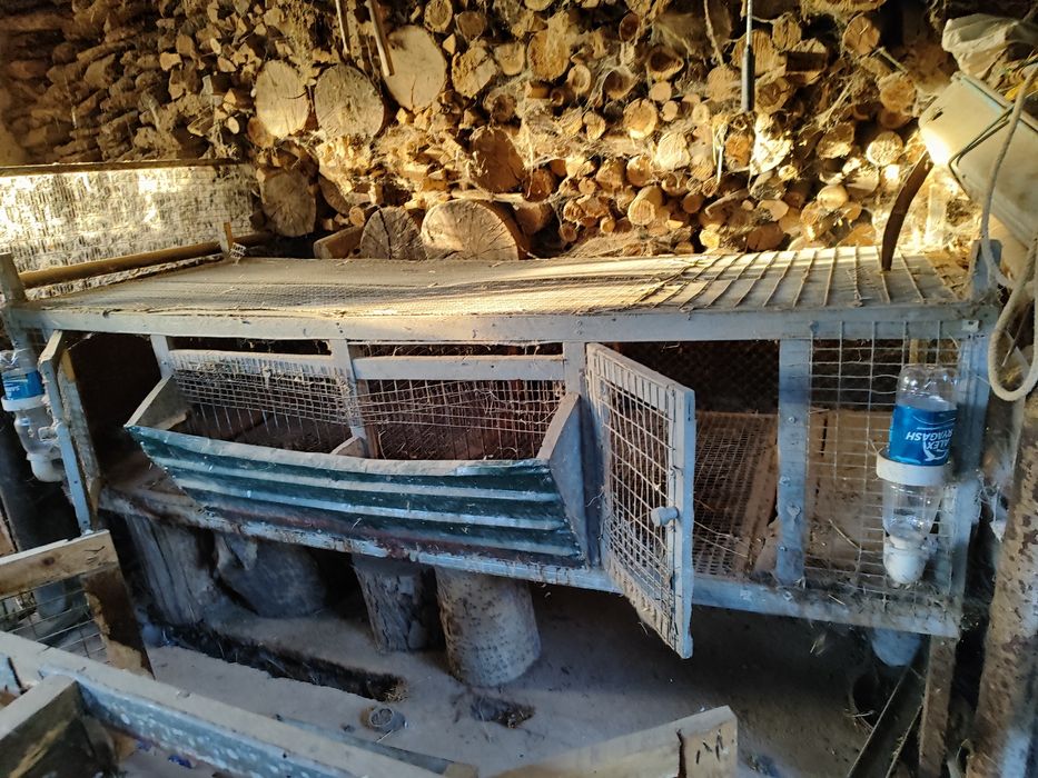 Клетки для содержания кроликов.