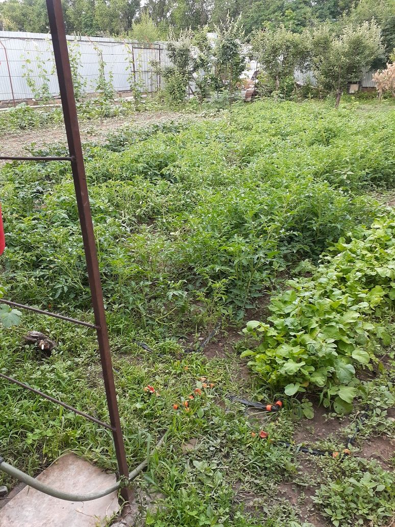 Капельная лента для огорода и сада