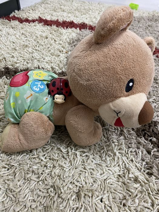 Catelus de plus ! Canta si are luminite !