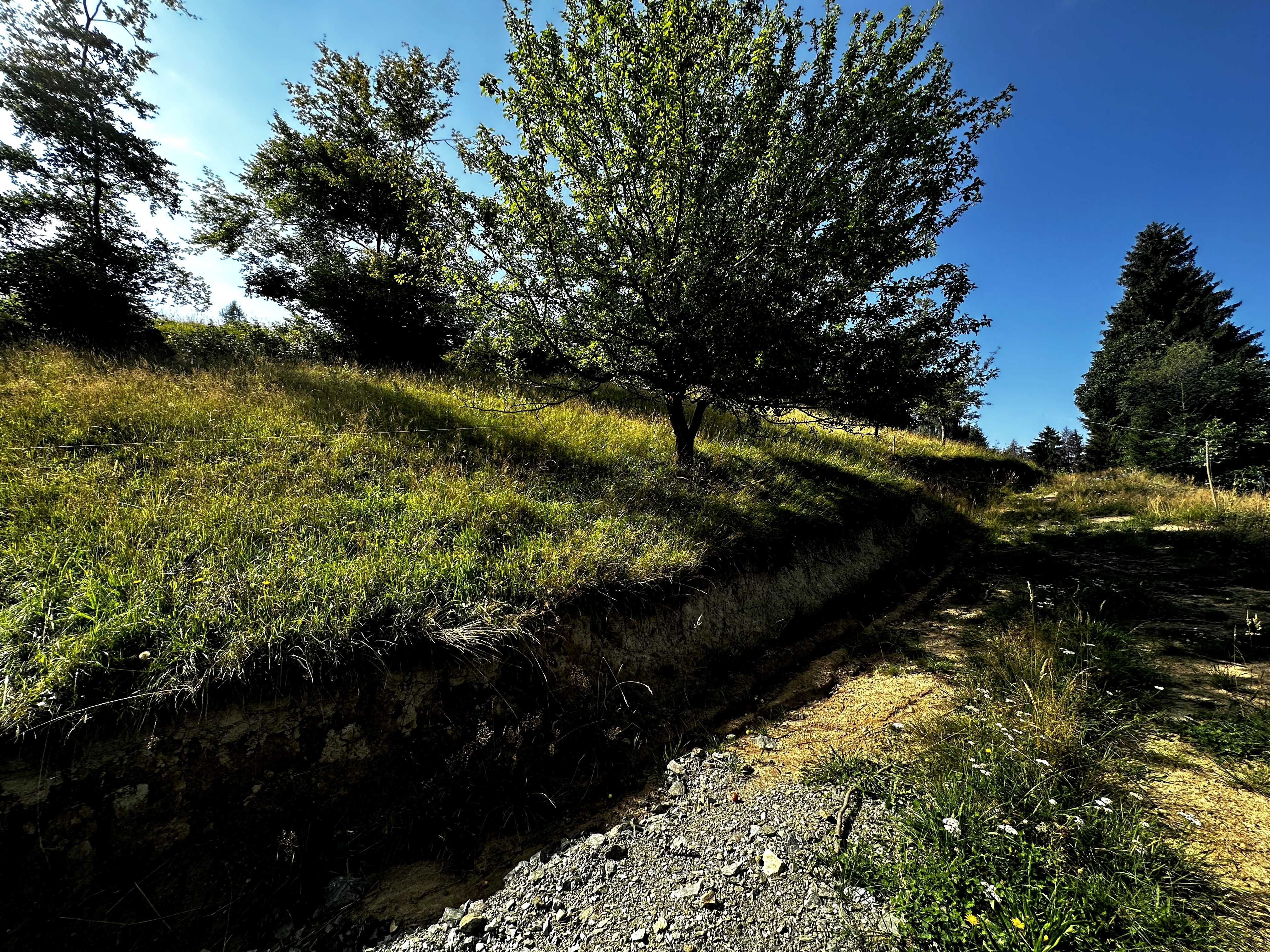 Teren Bran - Central 1.2 KM De Castel - Priveliste Catre Centru