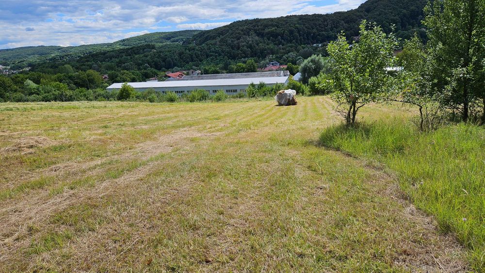 Teren intravilan 3837mp - Vladesti