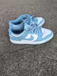 Adidasi nike dunk low