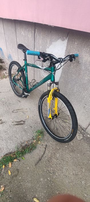 Bicicleta mountain bike