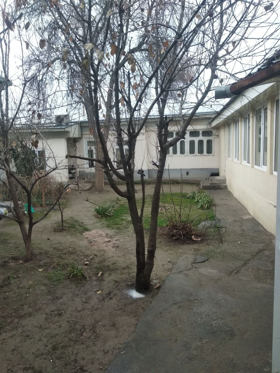 Ховли участка сотилади