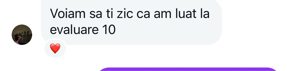 Meditații la Limba şi Literatura Română