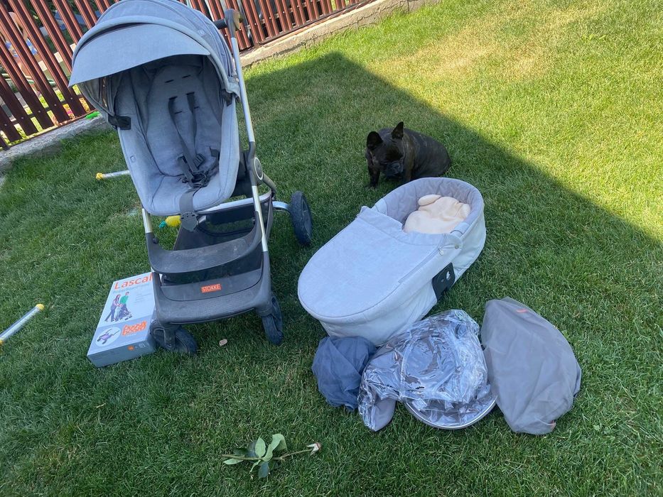 Carucior stokke crusi