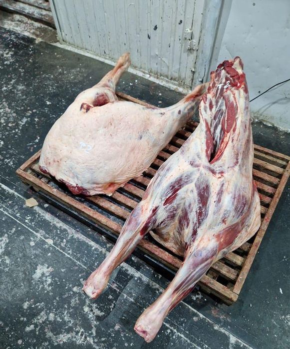 Мясо конины тай байтал и.д