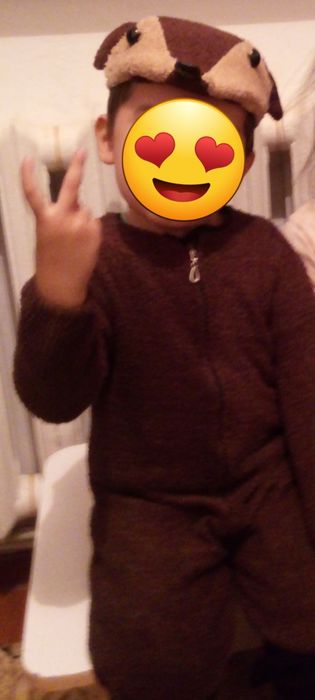 Продам одежду мышонка