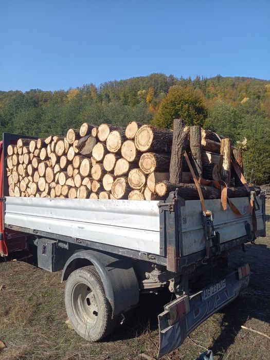 Vind  lemne esenta tare fag stejar salcim