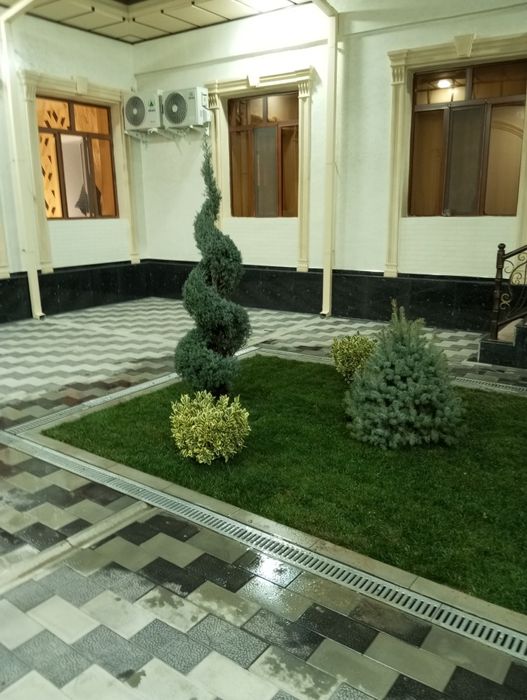 Gazon Archa xar xil turdagi kochatlar
