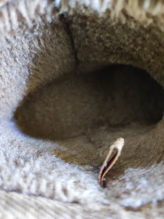 Детски боти и ботуши